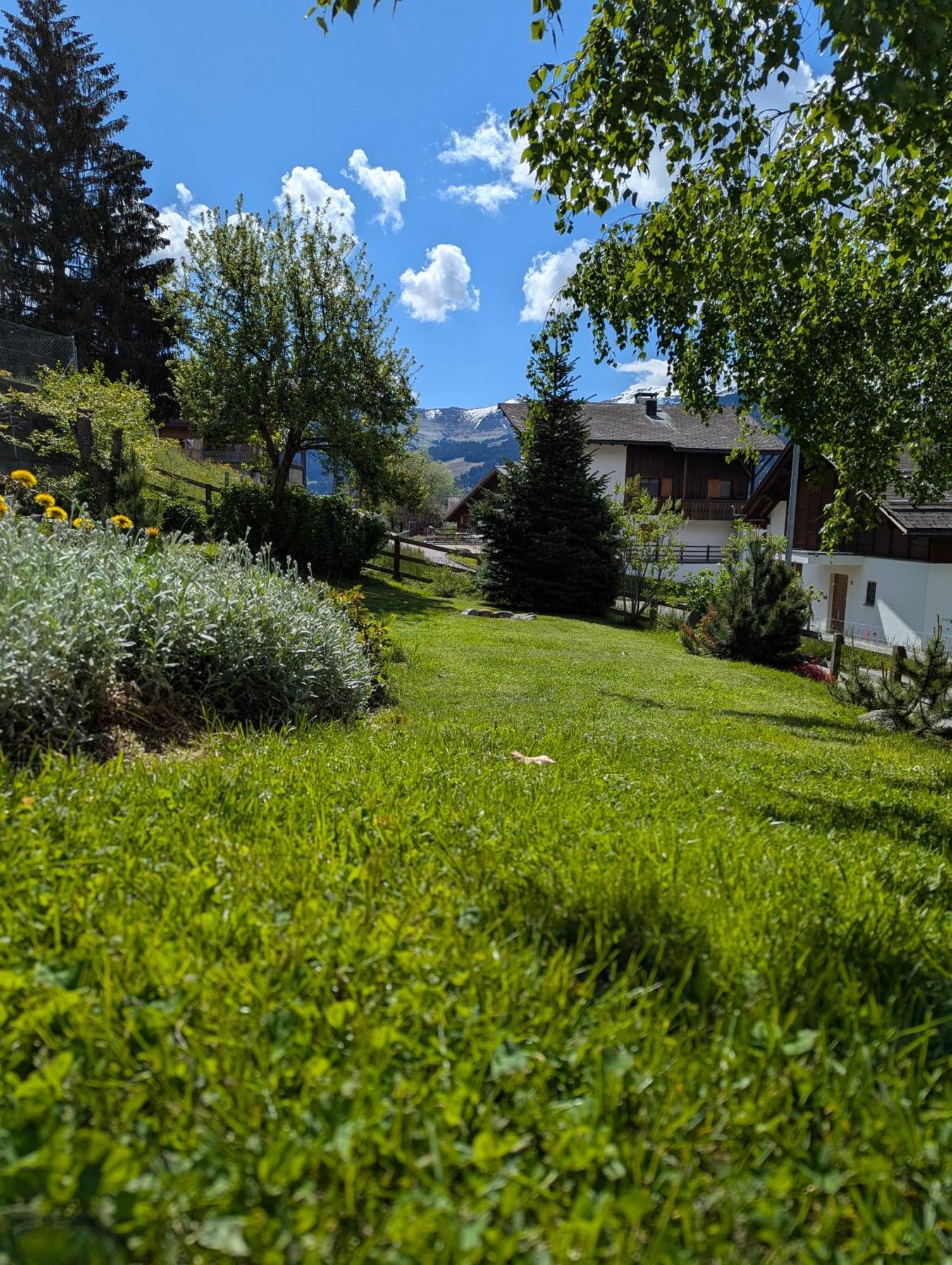 Casa Acazia Lejlighed Breíl Eksteriør billede