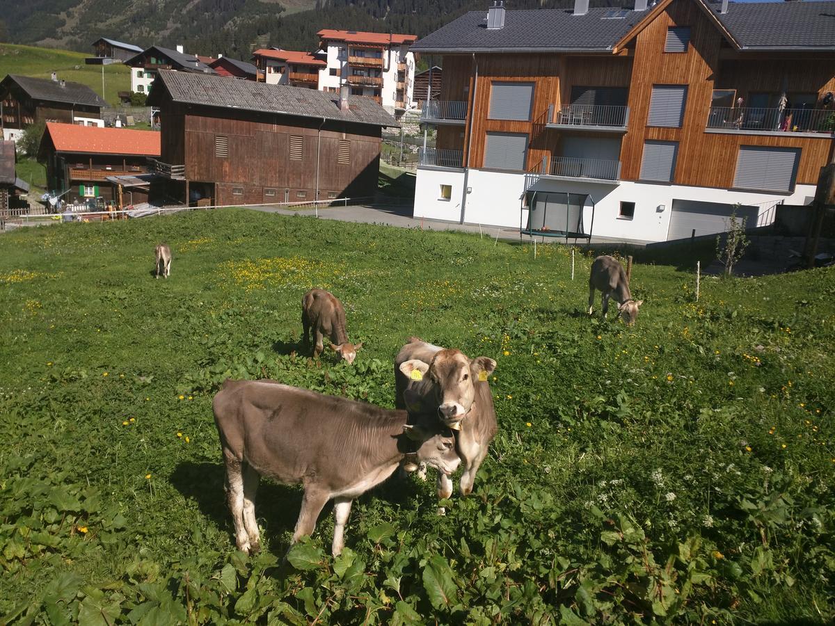 Casa Acazia Lejlighed Breíl Eksteriør billede